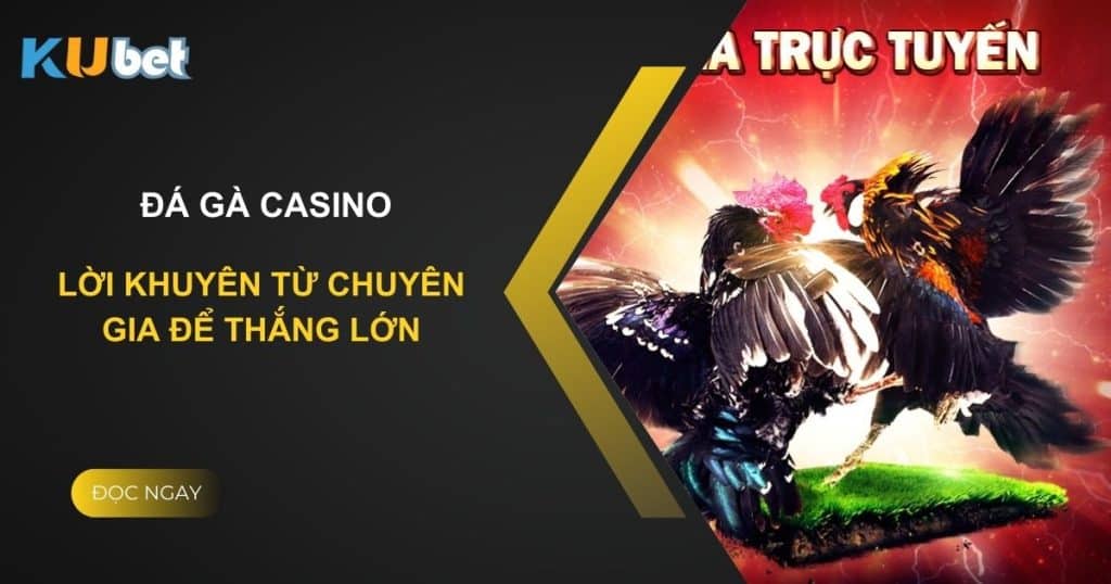 Kinh nghiệm đặt cược đá gà casino trên Kubet: Lời khuyên từ chuyên gia