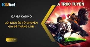 Kinh nghiệm đặt cược đá gà casino trên Kubet: Lời khuyên từ chuyên gia