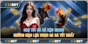 Chợ Tốt Gà Đá Hậu Giang