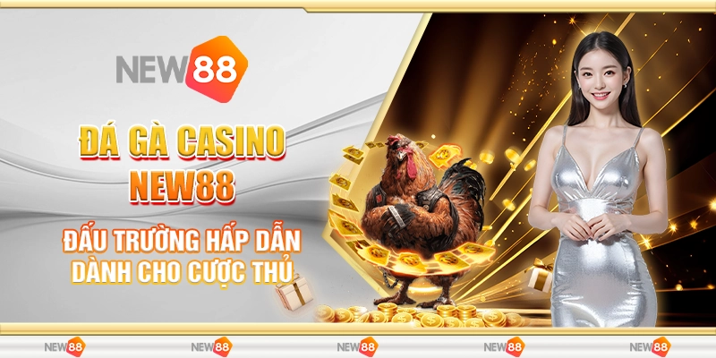 Đá Gà Casino New88 - Đấu Trường Hấp Dẫn Dành Cho Cược Thủ